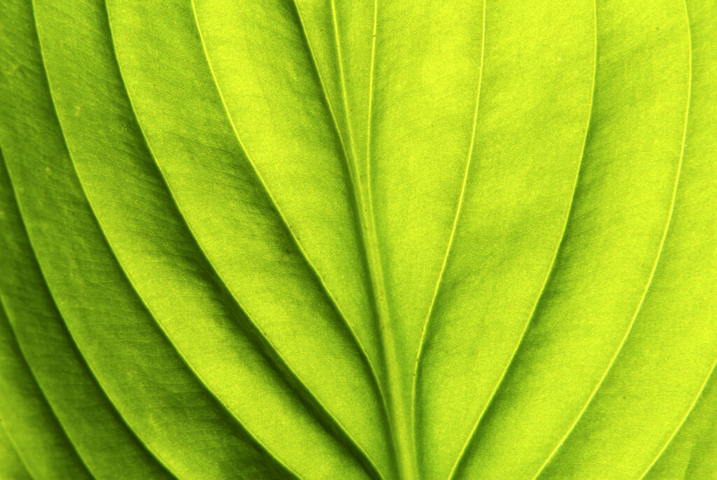 Environmentally friendly packaging material and waste reduction in printing