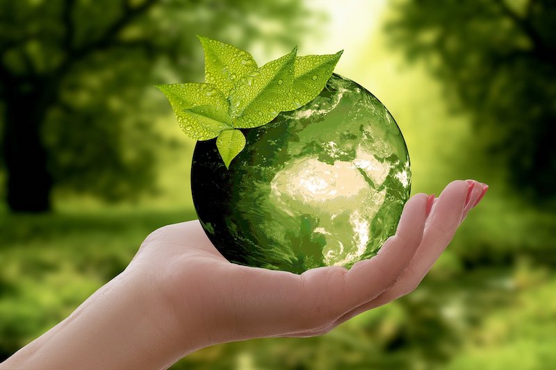 RPI Graphic Design: Our Commitment to Sustainability